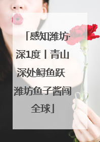 感知潍坊·深1度丨青山深处鲟鱼跃 潍坊鱼子酱闯全球