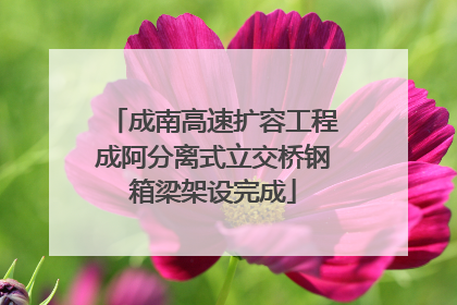 成南高速扩容工程成阿分离式立交桥钢箱梁架设完成