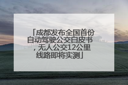 成都发布全国首份自动驾驶公交白皮书，无人公交12公里线路即将实测