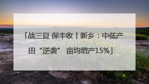 战三夏 保丰收丨新乡：中低产田“逆袭” 亩均增产15%