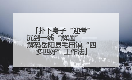 扑下身子“迎考” 沉到一线“解题”——解码岳阳县毛田镇“四多四好”工作法