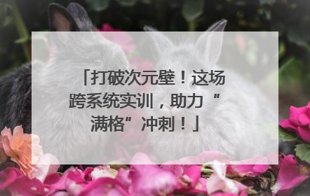 打破次元壁！这场跨系统实训，助力“满格”冲刺！