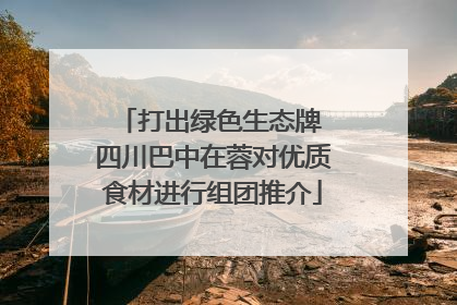 打出绿色生态牌 四川巴中在蓉对优质食材进行组团推介