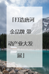 打造唐河金品牌 带动产业大发展