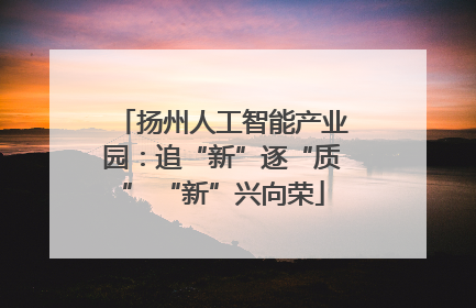 扬州人工智能产业园：追“新”逐“质” “新”兴向荣