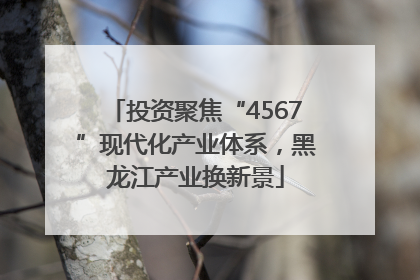 投资聚焦“4567”现代化产业体系，黑龙江产业换新景