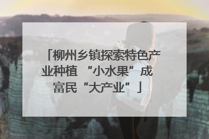 柳州乡镇探索特色产业种植 “小水果”成富民“大产业”