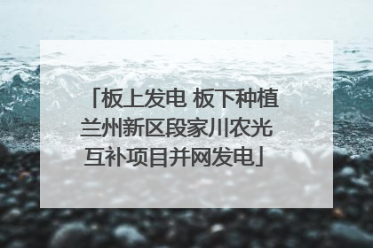 板上发电 板下种植 兰州新区段家川农光互补项目并网发电