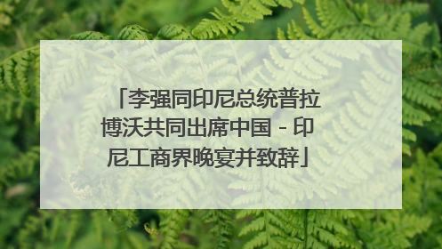 李强同印尼总统普拉博沃共同出席中国－印尼工商界晚宴并致辞