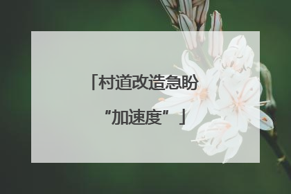 村道改造急盼“加速度”