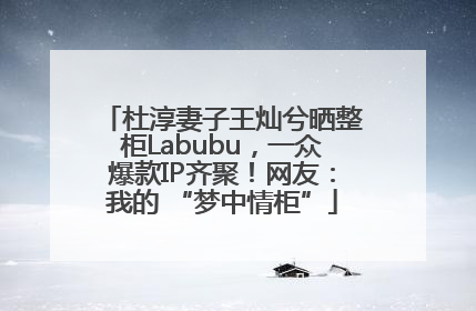杜淳妻子王灿兮晒整柜Labubu，一众爆款IP齐聚！网友：我的 “梦中情柜”