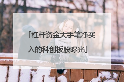杠杆资金大手笔净买入的科创板股曝光