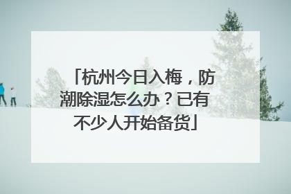 杭州今日入梅，防潮除湿怎么办？已有不少人开始备货