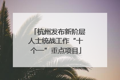 杭州发布新阶层人士统战工作“十个一”重点项目