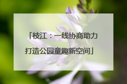 枝江：一线协商助力打造公园童趣新空间