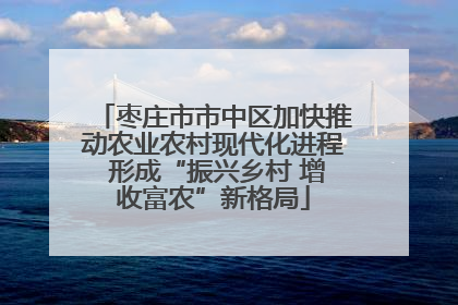 枣庄市市中区加快推动农业农村现代化进程 形成“振兴乡村 增收富农”新格局