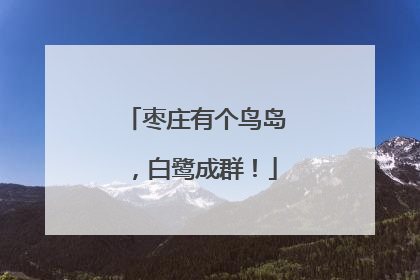 枣庄有个鸟岛，白鹭成群！