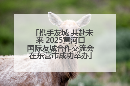 携手友城 共赴未来 2025黄河口国际友城合作交流会在东营市成功举办