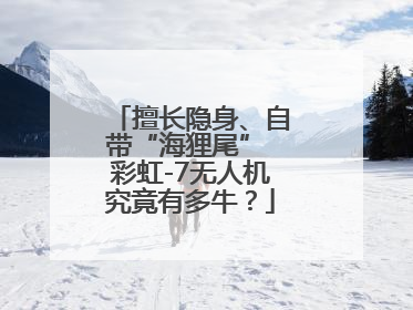 擅长隐身、自带“海狸尾” 彩虹-7无人机究竟有多牛？