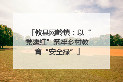 攸县网岭镇：以“党建红”筑牢乡村教育“安全绿”