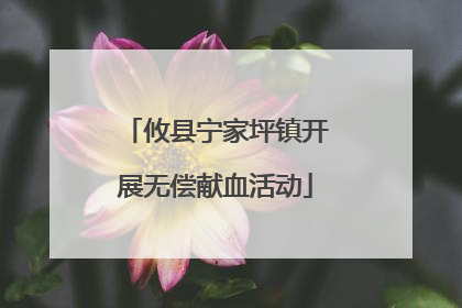 攸县宁家坪镇开展无偿献血活动
