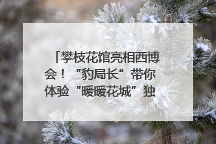 攀枝花馆亮相西博会！“豹局长”带你体验“暖暖花城”独特魅力｜西博视界