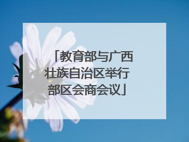 教育部与广西壮族自治区举行部区会商会议