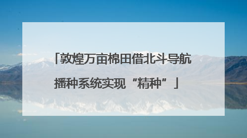 敦煌万亩棉田借北斗导航播种系统实现“精种”