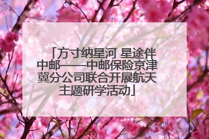 方寸纳星河 星途伴中邮——中邮保险京津冀分公司联合开展航天主题研学活动