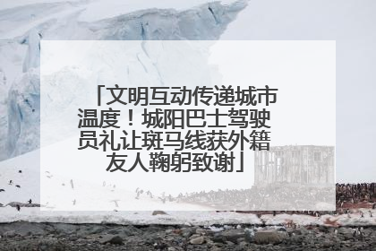 文明互动传递城市温度！城阳巴士驾驶员礼让斑马线获外籍友人鞠躬致谢
