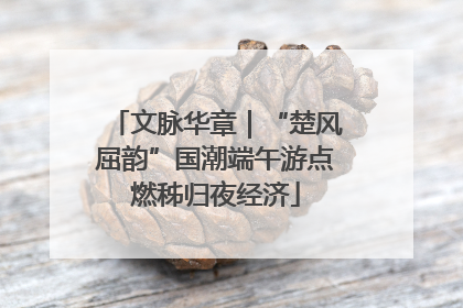 文脉华章｜“楚风屈韵”国潮端午游点燃秭归夜经济