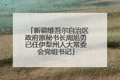 新疆维吾尔自治区政府原秘书长周旭勇已任伊犁州人大常委会党组书记