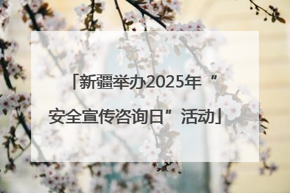 新疆举办2025年“安全宣传咨询日”活动