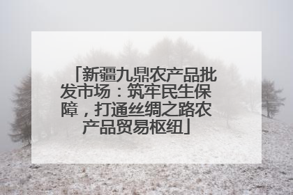 新疆九鼎农产品批发市场：筑牢民生保障，打通丝绸之路农产品贸易枢纽