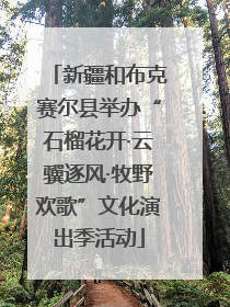 新疆和布克赛尔县举办“石榴花开·云骥逐风·牧野欢歌”文化演出季活动