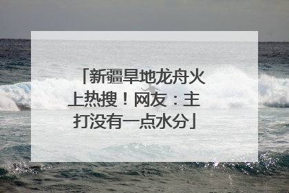 新疆旱地龙舟火上热搜！网友：主打没有一点水分