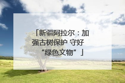 新疆阿拉尔：加强古树保护 守好“绿色文物”