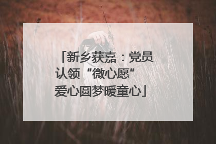 新乡获嘉：党员认领“微心愿” 爱心圆梦暖童心