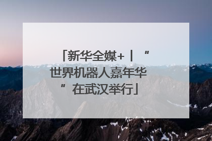 新华全媒+丨“世界机器人嘉年华”在武汉举行