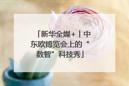 新华全媒+丨中东欧博览会上的“数智”科技秀
