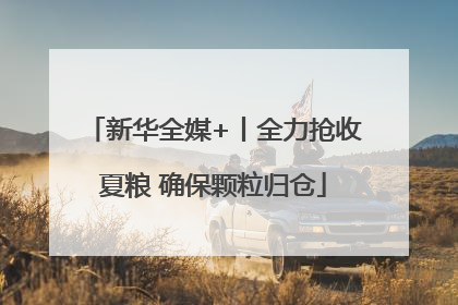 新华全媒+丨全力抢收夏粮 确保颗粒归仓