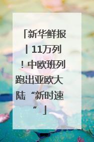 新华鲜报丨11万列！中欧班列跑出亚欧大陆“新时速”