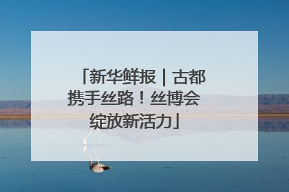 新华鲜报｜古都携手丝路！丝博会绽放新活力