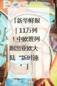 新华鲜报｜11万列！中欧班列跑出亚欧大陆“新时速”