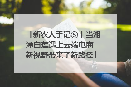 新农人手记⑤丨当湘潭白莲遇上云端电商 新视野带来了新路径