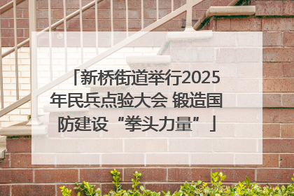 新桥街道举行2025年民兵点验大会 锻造国防建设“拳头力量”