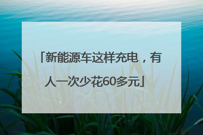 新能源车这样充电，有人一次少花60多元