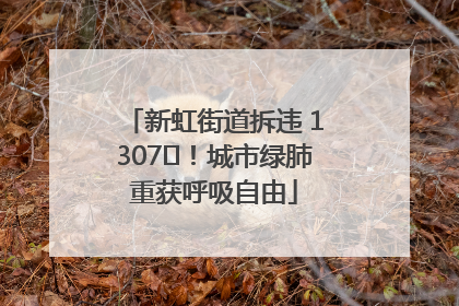 新虹街道拆违 1307㎡！城市绿肺重获呼吸自由