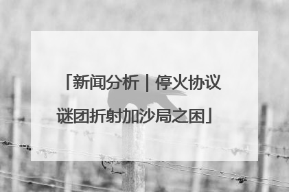 新闻分析｜停火协议谜团折射加沙局之困