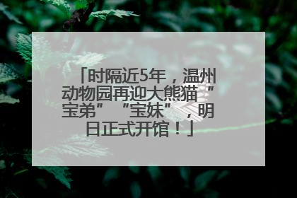 时隔近5年，温州动物园再迎大熊猫“宝弟”“宝妹”，明日正式开馆！